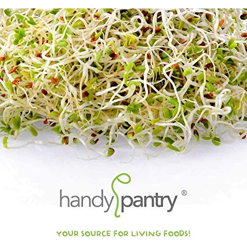 Sprouting Seed Super Sampler- Organic- 2.5 Lbs of 10 Different D...