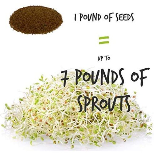 Sprouting Seed Super Sampler- Organic- 2.5 Lbs of 10 Different D...
