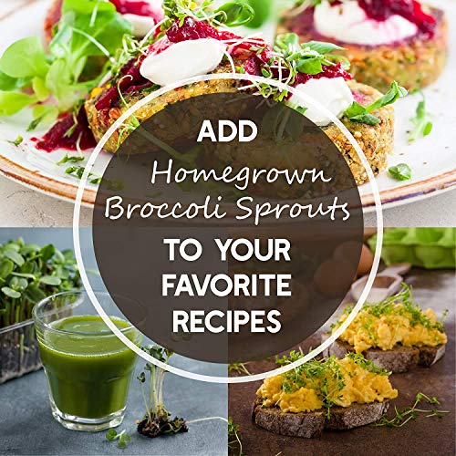 Sprouting Seed Super Sampler- Organic- 2.5 Lbs of 10 Different D...