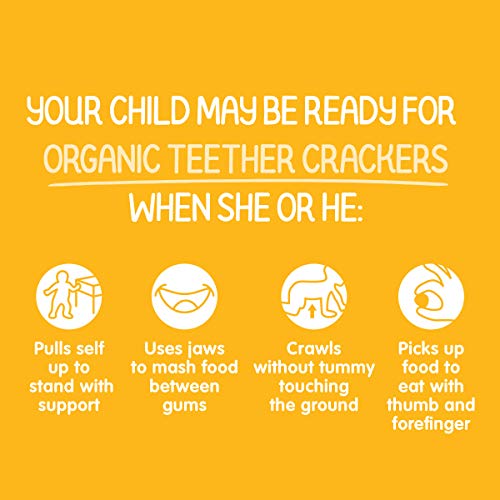 Happy Baby Organics Organic Teether Crackers Gluten Free Mango &...