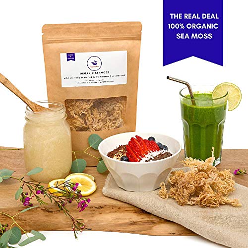 Happy Fox Organic Sea Moss | 100% Wildcrafted, Raw, Pure, Sundri