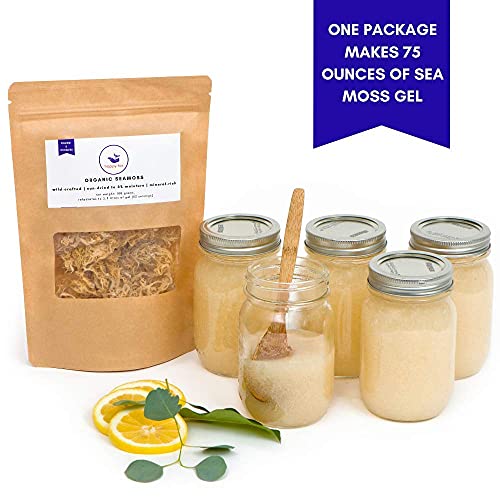 Happy Fox Organic Sea Moss | 100% Wildcrafted, Raw, Pure, Sundri