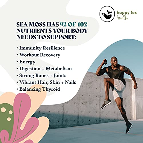Happy Fox Organic Sea Moss | 100% Wildcrafted, Raw, Pure, Sundri