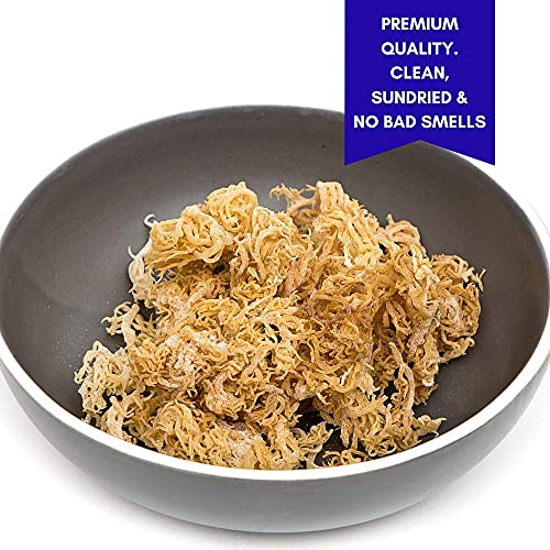 Happy Fox Organic Sea Moss | 100% Wildcrafted, Raw, Pure, Sundri