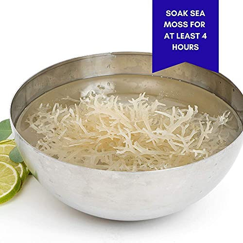 Happy Fox Organic Sea Moss | 100% Wildcrafted, Raw, Pure, Sundri