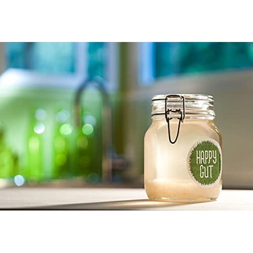 Water Kefir Grains Water Kefir Grains