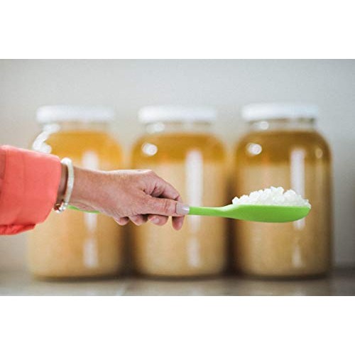 Water Kefir Grains Water Kefir Grains