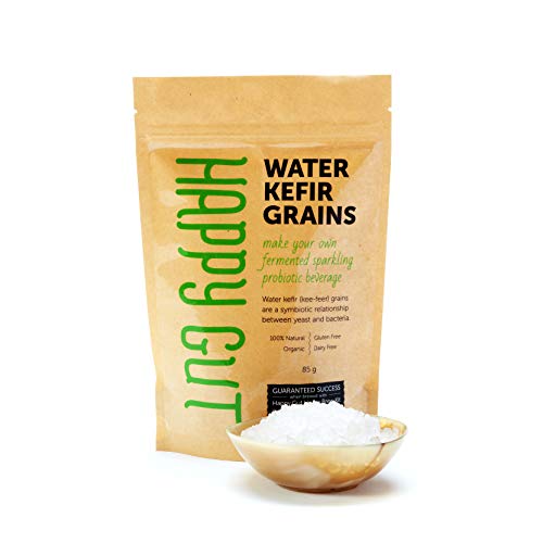 Water Kefir Grains Water Kefir Grains
