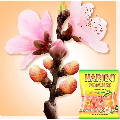 Haribo Gummi Candy, Peaches, 5 Oz. Bag Pack Of 12