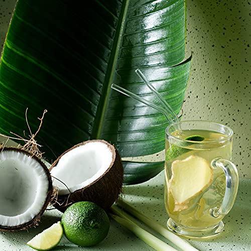 Harney & Sons Organic Green with Coconut Fresh Brew Iced Tea | 1...