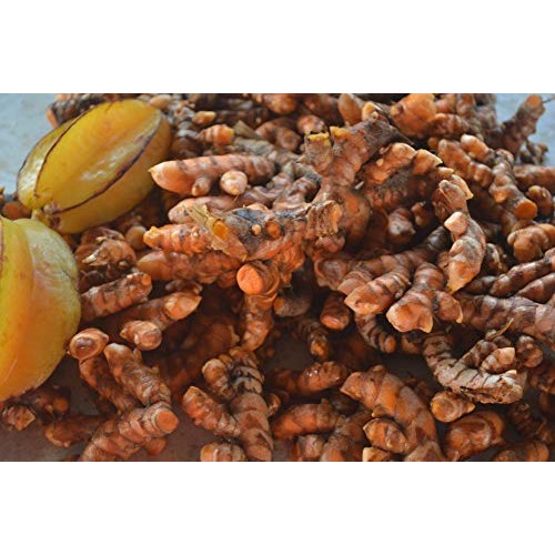 Turmeric Cut & Sifted - USDA Certified Organic Turmeric Root 1lb...