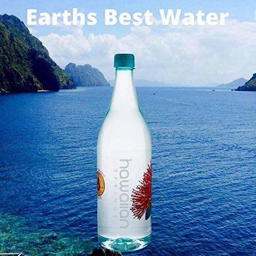 Hawaiian Springs- Natural Artesian Bottled Water | Volcanic Enha
