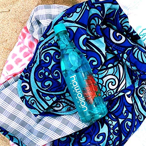 Hawaiian Springs- Natural Artesian Bottled Water | Volcanic Enha