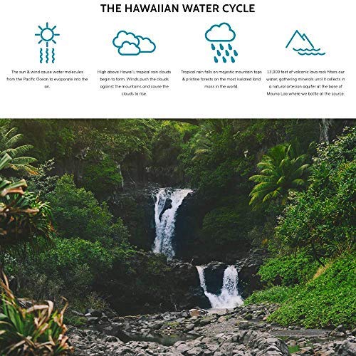 Hawaiian Springs- Natural Artesian Bottled Water | Volcanic Enha