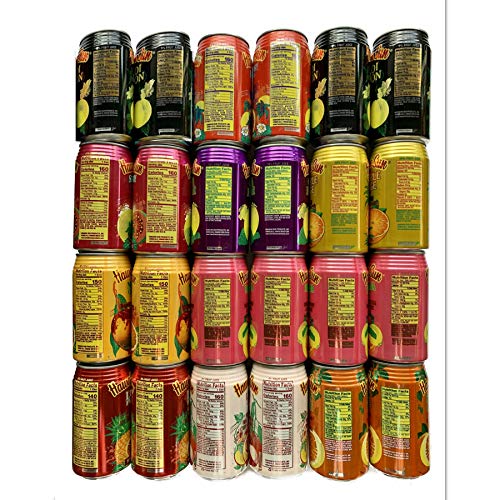 Hawaiian Sun Premium Tropical Juice Drink Party Bundle Of 10 Ass