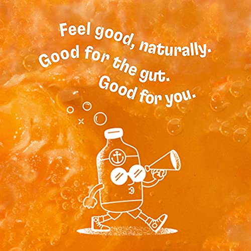 Health-Ade Plus, Kombucha Tea Organic Sparkling Probiotic Drink,