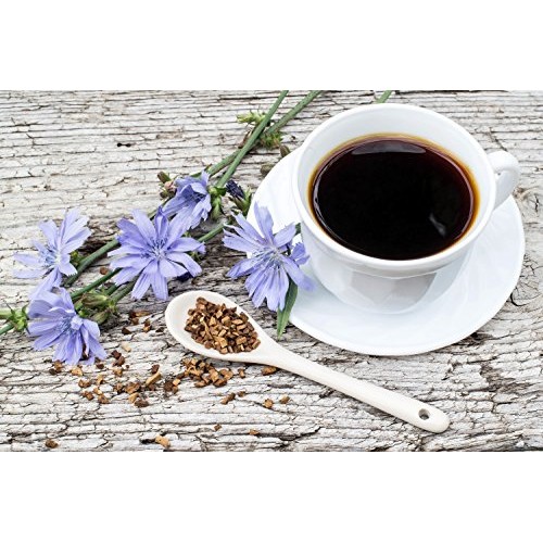 Chicory Root Cichorium L. - Cichory Radix Health Embassy - 100
