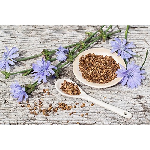 Chicory Root Cichorium L. - Cichory Radix Health Embassy - 100