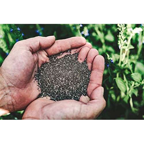 Heartland Chia, Usa Grown Whole Raw Black Chia Seeds, 12 Oz | Su Heartland Chia, Usa Grown Whole Raw Black Chia Seeds, 12 Oz | Su