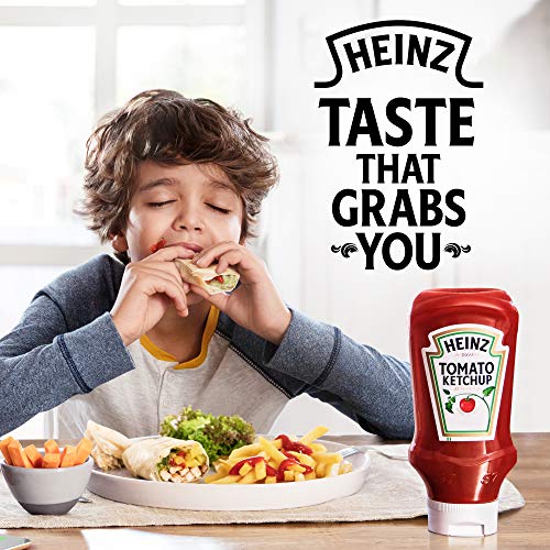 Heinz Tomato Ketchup 20 Oz Bottle