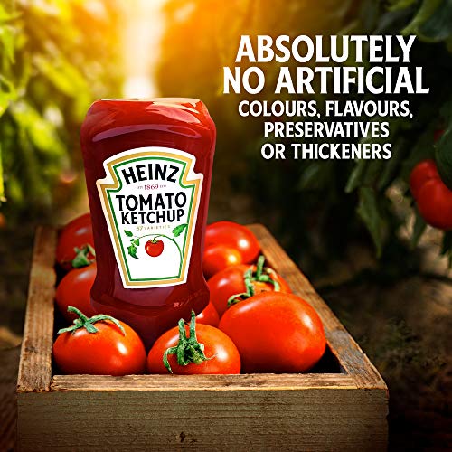 Heinz Tomato Ketchup 20 Oz Bottle