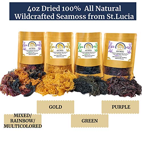 Wildcrafted Sea Moss | Gold - Purple - Green - Mixed | 100% Natu