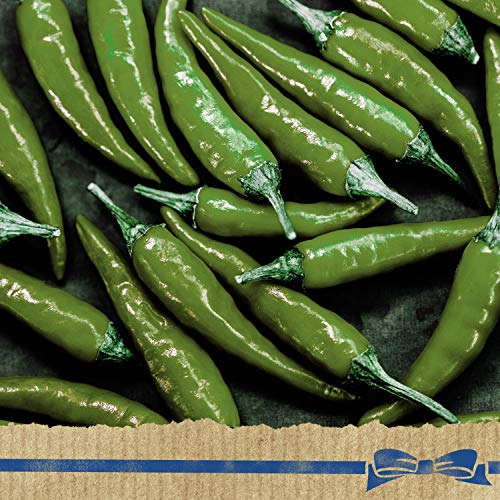 Hellmanns Dressing And Dip For Burgers, Sandwiches &Amp; More Dippi