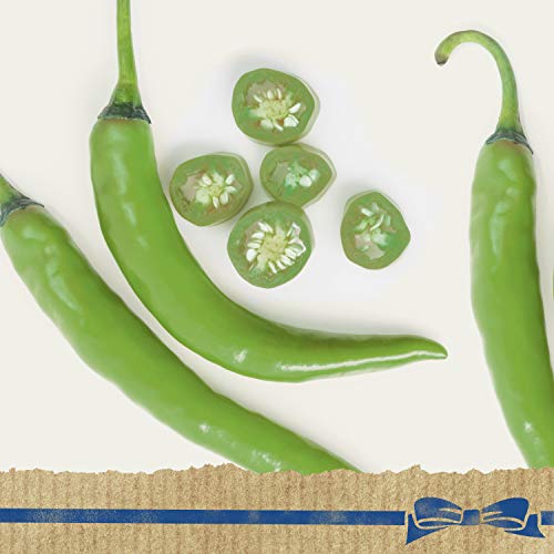 Hellmanns Dressing And Dip For Burgers, Sandwiches &Amp; More Dippi