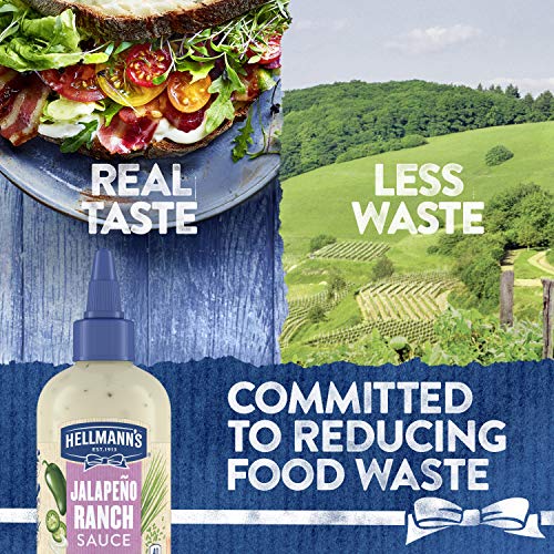 Hellmanns Dressing And Dip For Burgers, Sandwiches &Amp; More Dippi