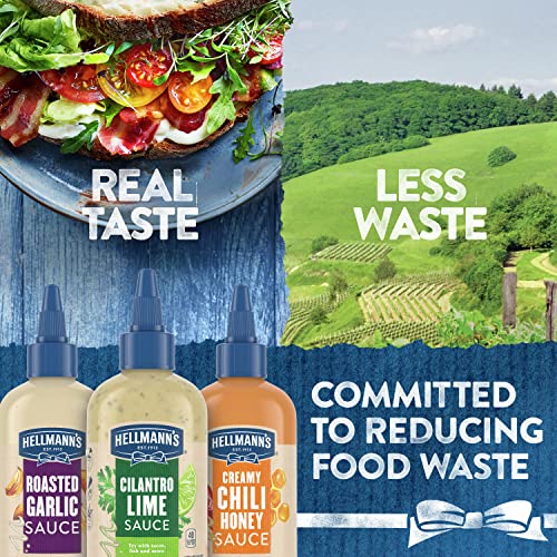 Hellmanns Drizzle Sauce for an exciting Condiment, Dip, Drizzle...