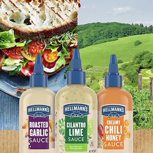 Hellmanns Drizzle Sauce for an exciting Condiment, Dip, Drizzle...
