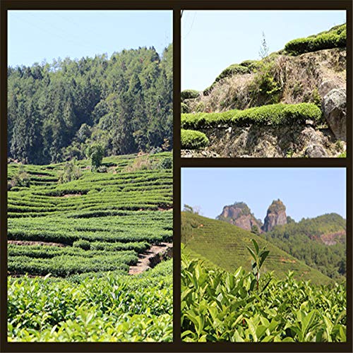 Chinese Oil Cut Black Oolong Tea Fresh Natural Tea High Cost-Eff