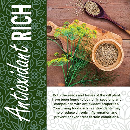 Dill Seed 1lb / 16oz, Dill Seeds Spice, Dill Seed for pickling, ...