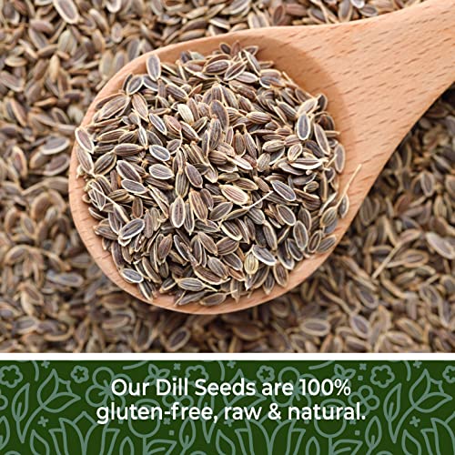 Dill Seed 1lb / 16oz, Dill Seeds Spice, Dill Seed for pickling, ...