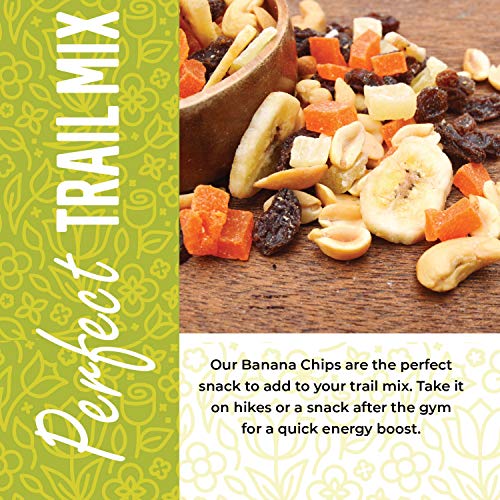 Dried Banana Chips Unsweetened Bulk, 1 Lb. Dried Bananas, Unswee