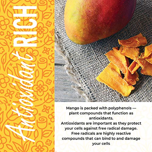 Dried Mango No Sugar Added, 16 Oz. Dried Mangoes, Unsweetened Dr