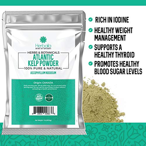 Kelp Powder 1 Lb, Natural Iodine Supplement High Fiber Raw Kel