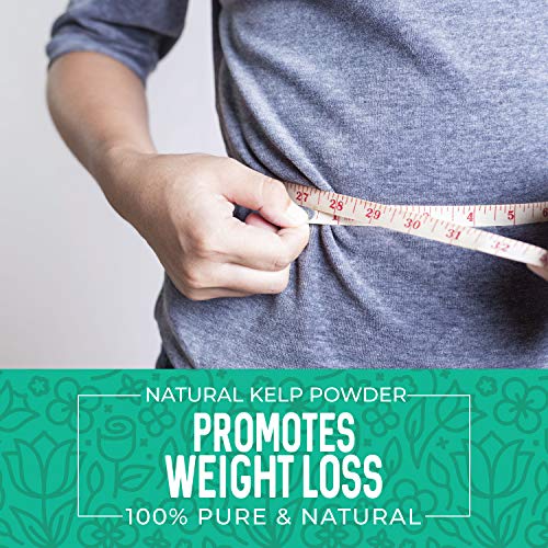 Kelp Powder 1 Lb, Natural Iodine Supplement High Fiber Raw Kel