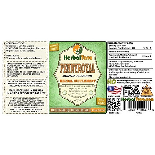 Pennyroyal Mentha Pulegium Glycerite, Organic Dried Herb Alcoh