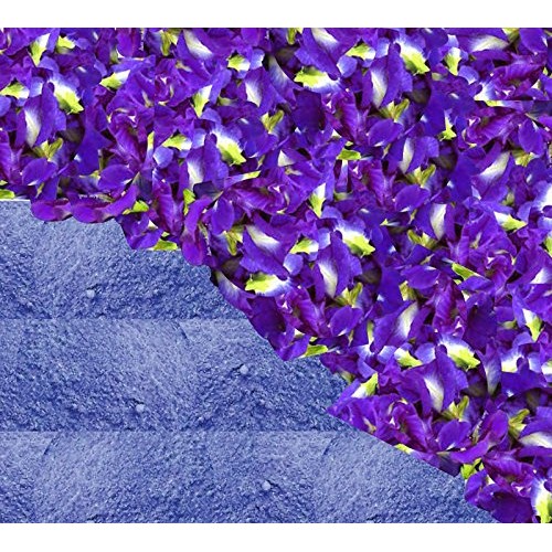 New Butterfly Pea Tea 30 Mini Bags Best Tea Blue Color One Cup F