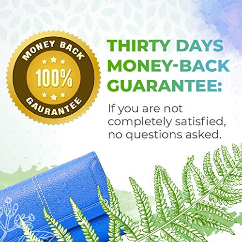 Rosemary B120 Alcohol-Free Herbal Extract Tincture, Super-Concen