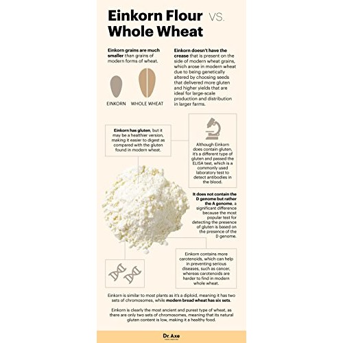 Organic Whole Grain Einkorn Flour, Fresh Stone-Ground &Amp; Usa Grow Organic Whole Grain Einkorn Flour, Fresh Stone-Ground &Amp; Usa Grow