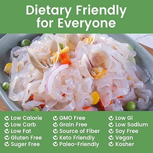 Hethstia Shirataki Noodle Fettuccine Pasta Low-Carb Konjac Noodl