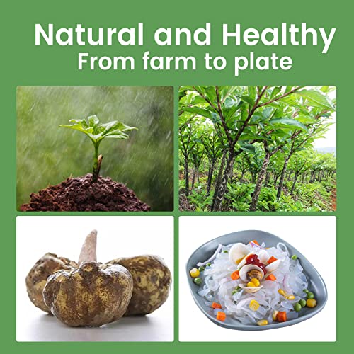 Hethstia Shirataki Noodle Fettuccine Pasta Low-Carb Konjac Noodl