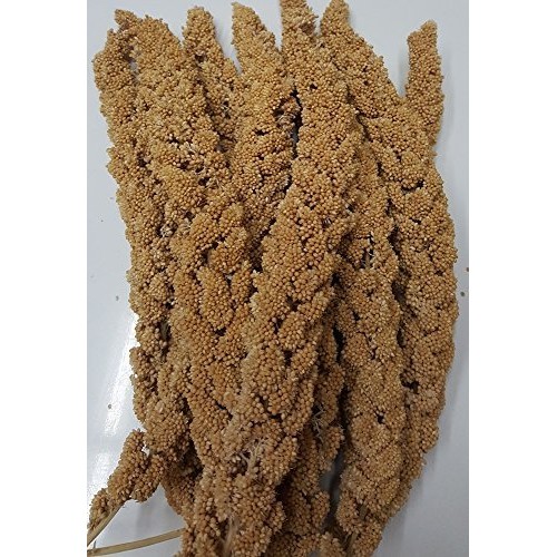 Hig Spray Millet 12Ct