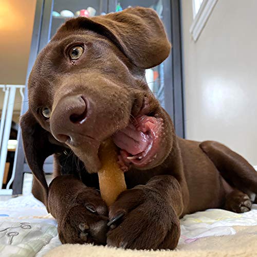 Yakyyum Himalayan Cheese Treats | Lactose Free - Gluten Free - W