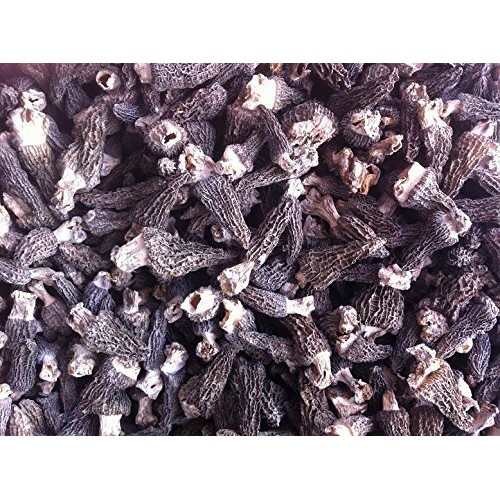 Dried Morel Mushroom Premium Grade 2500 Gram