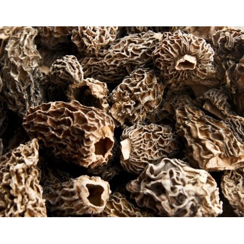 Dried Morel Mushroom Premium Grade 4 Ounce