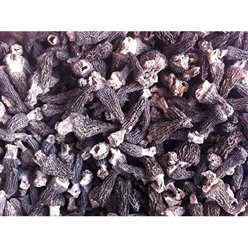 Dried Morel Mushroom Premium Grade 5000 Gram