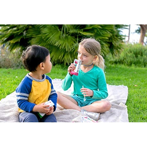 Hint Kids Water Variety Pack, Pack Of 32 6.75 Oz Boxes, 8 Boxe